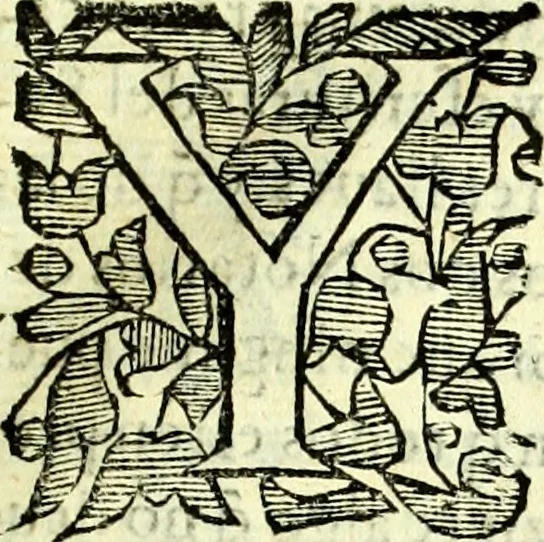 An illustration from Instruciones del Santo Oficio de la Inquisicion, sumariamente, antignas y nueuas, 1627, leaf 66