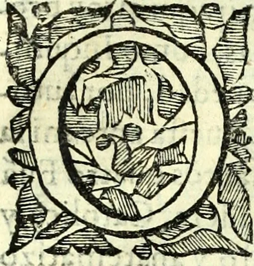 An illustration from Instruciones del Santo Oficio de la Inquisicion, sumariamente, antignas y nueuas, 1627, leaf 67