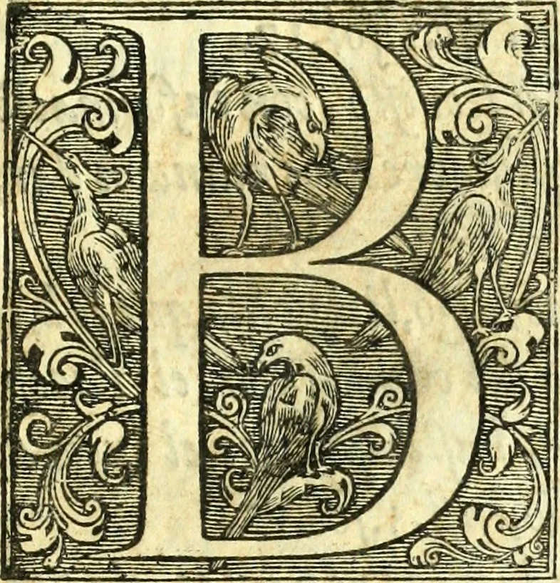 An illustration from Instruciones del Santo Oficio de la Inquisicion, sumariamente, antignas y nueuas, 1627, leaf 8