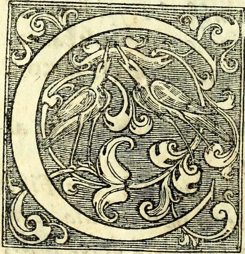 An illustration from Instruciones del Santo Oficio de la Inquisicion, sumariamente, antignas y nueuas, 1627, leaf 9