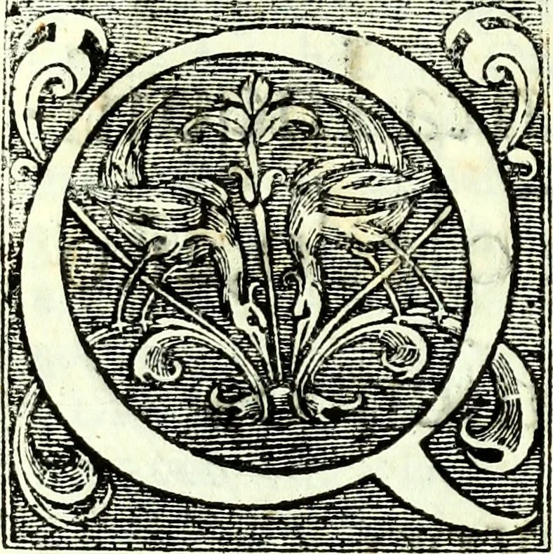 An illustration from Instruciones del Santo Oficio de la Inquisicion, sumariamente, antignas y nueuas, 1627, leaf 91