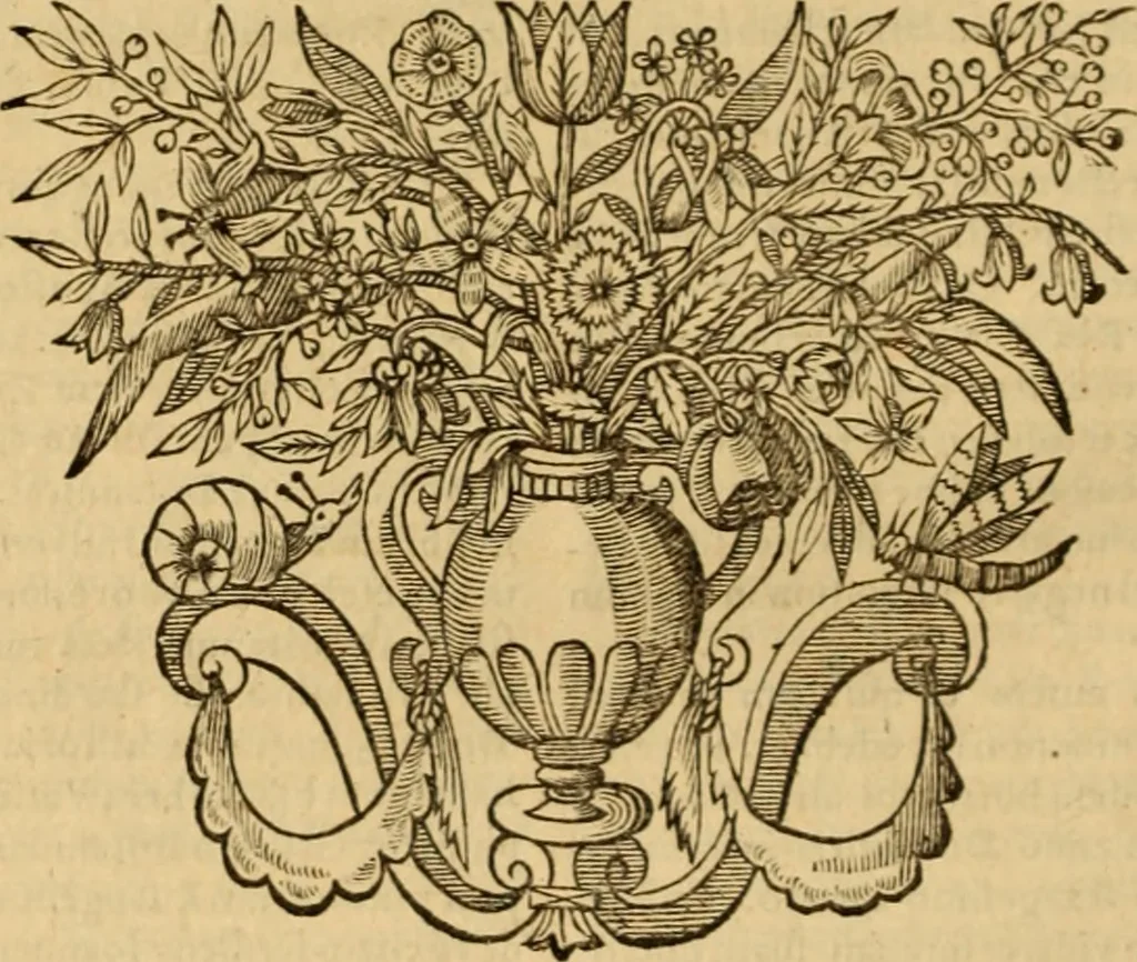An illustration from Instructiones historico-theologicæ : De doctrina Christiana & vario rerum statu, ortisque erroribus & controversis, jam inde à temporibus Apostolicis, ad tempora usque seculi decimi-septimi priora, 1645, leaf 219