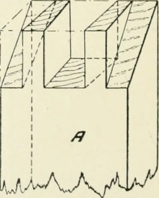 An illustration from Manual instruction: drawing, 1896, leaf 71