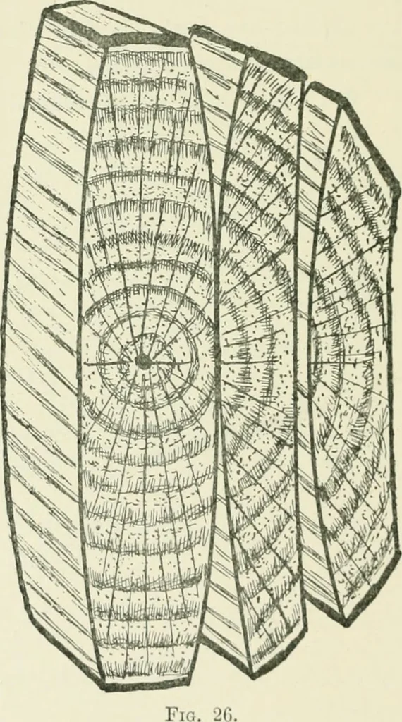 An illustration from Manual instruction: drawing, 1896, leaf 95