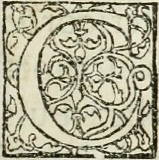 An illustration from Instruction et doctrine a se bien confesser, & prier Dieu pour ses pechez : extraict des sainctes escritures ..., 1565, leaf 98