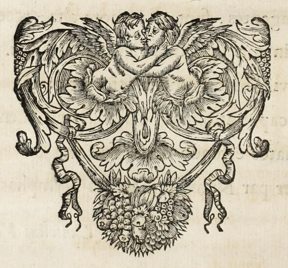 An illustration from Instruction pour les jardins fruitiers et potagers : avec un traité des orangers, suivy de quelques réflexions sur l'agriculture, 1690, leaf 22