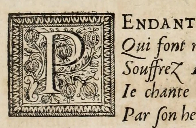 An illustration from Instruction pour les jardins fruitiers et potagers : avec un traité des orangers, suivy de quelques réflexions sur l'agriculture, 1690, leaf 23