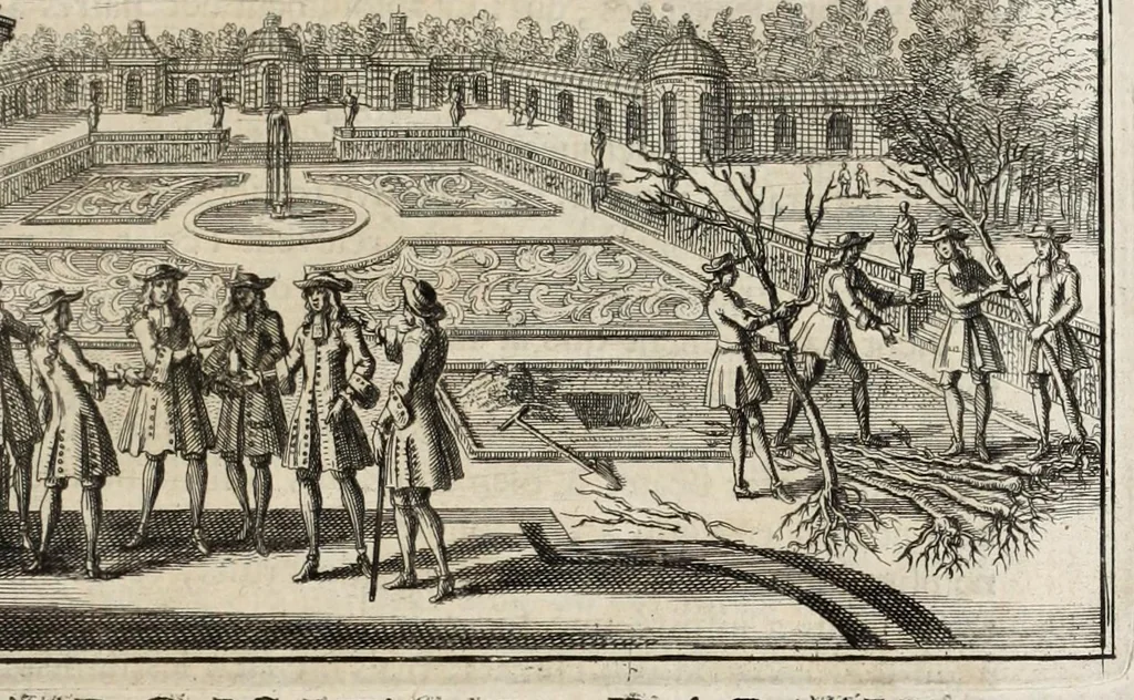 An illustration from Instruction pour les jardins fruitiers et potagers : avec un traité des orangers, suivy de quelques réflexions sur l'agriculture, 1690, leaf 273