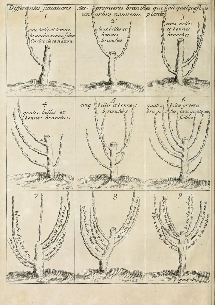 An illustration from Instruction pour les jardins fruitiers et potagers : avec un traité des orangers, suivy de quelques réflexions sur l'agriculture, 1690, leaf 32