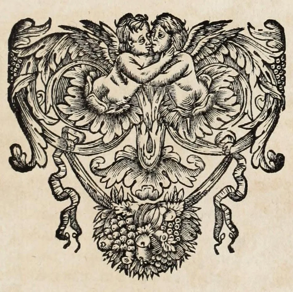 An illustration from Instruction pour les jardins fruitiers et potagers : avec un traité des orangers, suivy de quelques réflexions sur l'agriculture, 1690, leaf 447