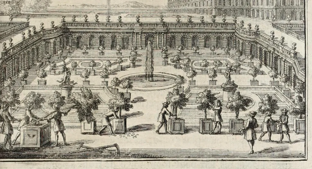 An illustration from Instruction pour les jardins fruitiers et potagers : avec un traité des orangers, suivy de quelques réflexions sur l'agriculture, 1690, leaf 449