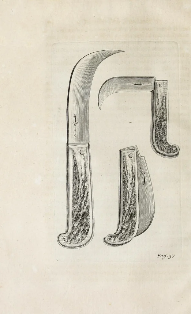 An illustration from Instruction pour les jardins fruitiers et potagers : avec un traité des orangers, suivy de quelques réflexions sur l'agriculture, 1690, leaf 48