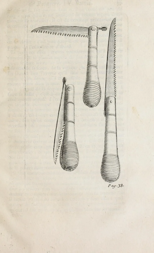An illustration from Instruction pour les jardins fruitiers et potagers : avec un traité des orangers, suivy de quelques réflexions sur l'agriculture, 1690, leaf 51