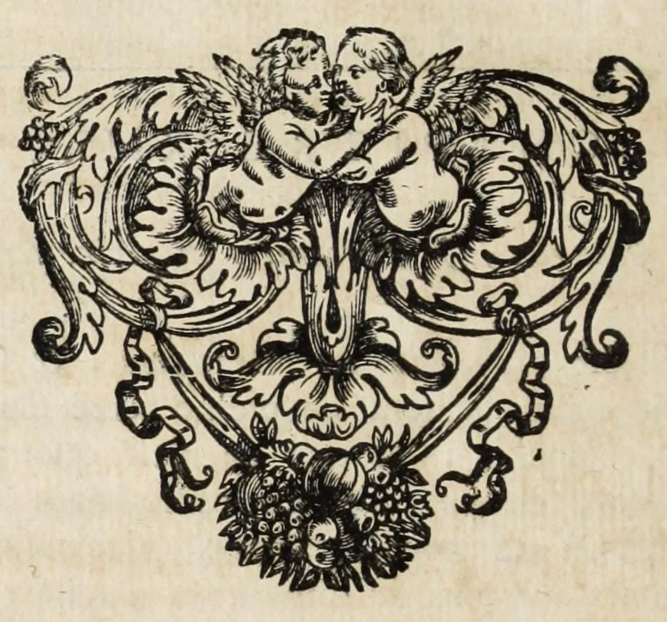 An illustration from Instruction pour les jardins fruitiers et potagers : avec un traité des orangers, suivy de quelques réflexions sur l'agriculture, 1690, leaf 520