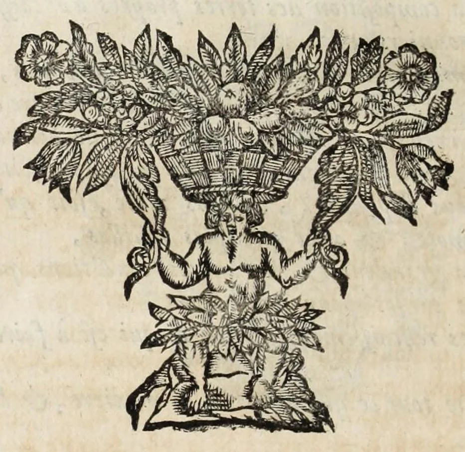 An illustration from Instruction pour les jardins fruitiers et potagers : avec un traité des orangers, suivy de quelques réflexions sur l'agriculture, 1690, leaf 522