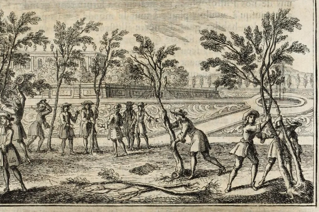 An illustration from Instruction pour les jardins fruitiers et potagers : avec un traité des orangers, suivy de quelques réflexions sur l'agriculture, 1690, leaf 523