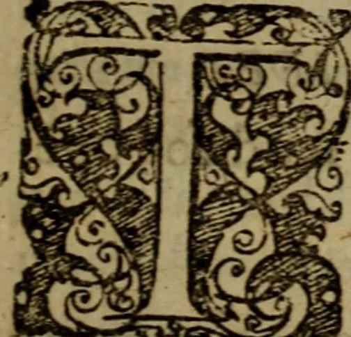An illustration from Instructions about right beleeving : severall sermons leading unto Christ, directing unto faith, and incouraging thereto .., 1645, leaf 8