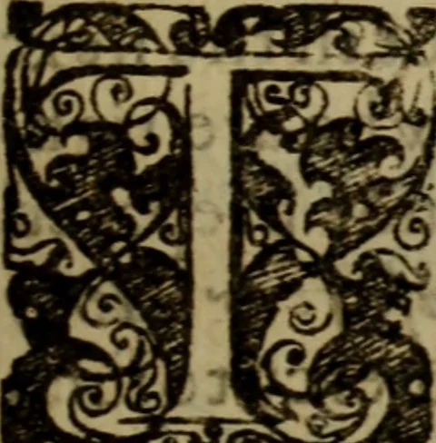 An illustration from Instructions about right beleeving : severall sermons leading unto Christ, directing unto faith, and incouraging thereto .., 1645, leaf 88