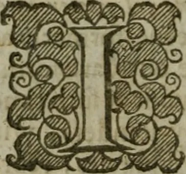 An illustration from Instructions for a right comforting afflicted consciences: with special antidotes against some grievous temptations. Delivered for the most part in the lecture at Kettering in Northamptonshire, 1635, leaf 107