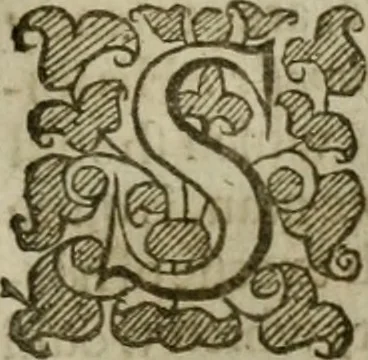 An illustration from Instructions for a right comforting afflicted consciences: with special antidotes against some grievous temptations. Delivered for the most part in the lecture at Kettering in Northamptonshire, 1635, leaf 112