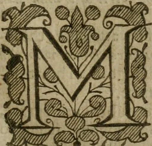 An illustration from Instructions for a right comforting afflicted consciences: with special antidotes against some grievous temptations. Delivered for the most part in the lecture at Kettering in Northamptonshire, 1635, leaf 30