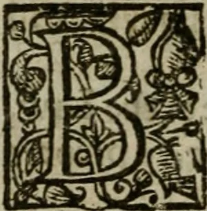 An illustration from Instructions for a right comforting afflicted consciences: with special antidotes against some grievous temptations. Delivered for the most part in the lecture at Kettering in Northamptonshire, 1635, leaf 301