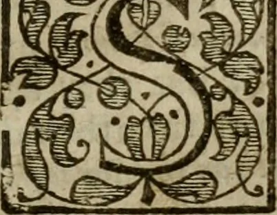 An illustration from Instructions for a right comforting afflicted consciences: with special antidotes against some grievous temptations. Delivered for the most part in the lecture at Kettering in Northamptonshire, 1635, leaf 348