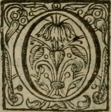 An illustration from Instructions for a right comforting afflicted consciences: with special antidotes against some grievous temptations. Delivered for the most part in the lecture at Kettering in Northamptonshire, 1635, leaf 357