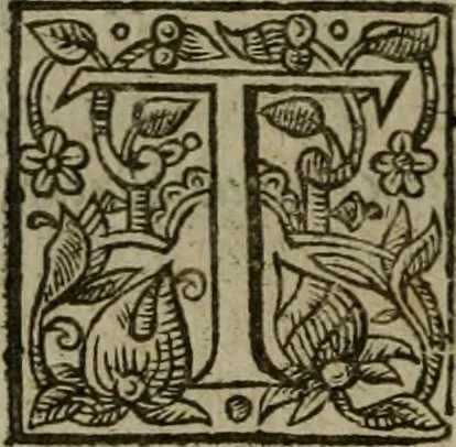 An illustration from Instructions for a right comforting afflicted consciences: with special antidotes against some grievous temptations. Delivered for the most part in the lecture at Kettering in Northamptonshire, 1635, leaf 365