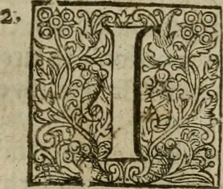 An illustration from Instructions for a right comforting afflicted consciences: with special antidotes against some grievous temptations. Delivered for the most part in the lecture at Kettering in Northamptonshire, 1635, leaf 388