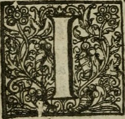 An illustration from Instructions for a right comforting afflicted consciences: with special antidotes against some grievous temptations. Delivered for the most part in the lecture at Kettering in Northamptonshire, 1635, leaf 397