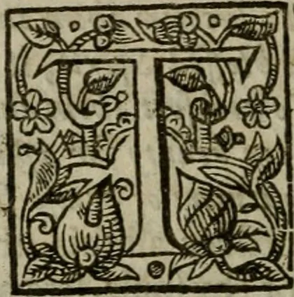 An illustration from Instructions for a right comforting afflicted consciences: with special antidotes against some grievous temptations. Delivered for the most part in the lecture at Kettering in Northamptonshire, 1635, leaf 405