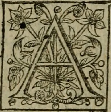 An illustration from Instructions for a right comforting afflicted consciences: with special antidotes against some grievous temptations. Delivered for the most part in the lecture at Kettering in Northamptonshire, 1635, leaf 413