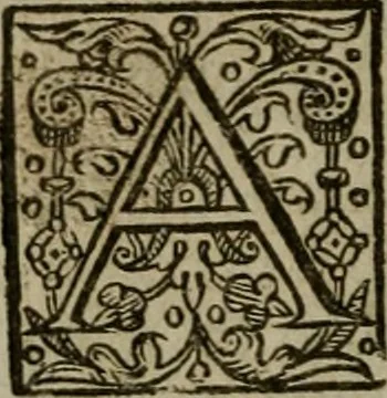 An illustration from Instructions for a right comforting afflicted consciences: with special antidotes against some grievous temptations. Delivered for the most part in the lecture at Kettering in Northamptonshire, 1635, leaf 419