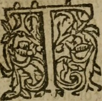 An illustration from Instructions for a right comforting afflicted consciences: with special antidotes against some grievous temptations. Delivered for the most part in the lecture at Kettering in Northamptonshire, 1635, leaf 42
