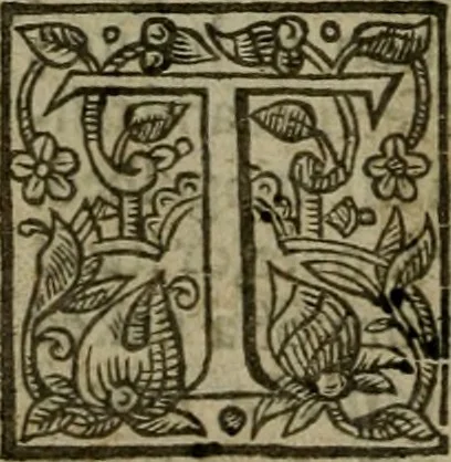An illustration from Instructions for a right comforting afflicted consciences: with special antidotes against some grievous temptations. Delivered for the most part in the lecture at Kettering in Northamptonshire, 1635, leaf 427