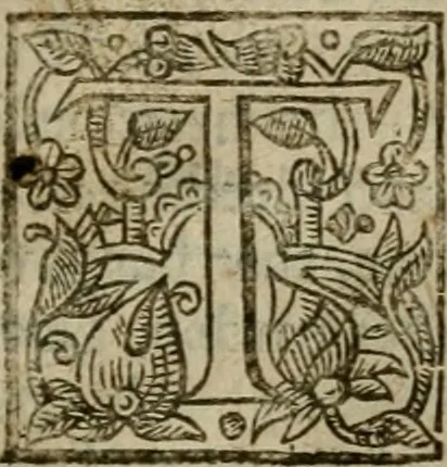 An illustration from Instructions for a right comforting afflicted consciences: with special antidotes against some grievous temptations. Delivered for the most part in the lecture at Kettering in Northamptonshire, 1635, leaf 432