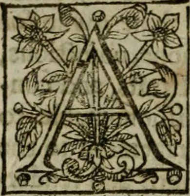 An illustration from Instructions for a right comforting afflicted consciences: with special antidotes against some grievous temptations. Delivered for the most part in the lecture at Kettering in Northamptonshire, 1635, leaf 445