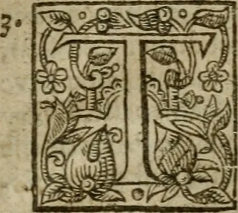 An illustration from Instructions for a right comforting afflicted consciences: with special antidotes against some grievous temptations. Delivered for the most part in the lecture at Kettering in Northamptonshire, 1635, leaf 492