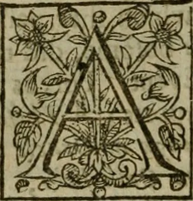 An illustration from Instructions for a right comforting afflicted consciences: with special antidotes against some grievous temptations. Delivered for the most part in the lecture at Kettering in Northamptonshire, 1635, leaf 501