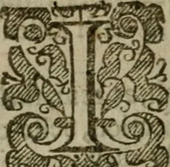 An illustration from Instructions for a right comforting afflicted consciences: with special antidotes against some grievous temptations. Delivered for the most part in the lecture at Kettering in Northamptonshire, 1635, leaf 507