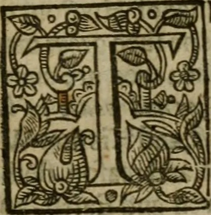 An illustration from Instructions for a right comforting afflicted consciences: with special antidotes against some grievous temptations. Delivered for the most part in the lecture at Kettering in Northamptonshire, 1635, leaf 522