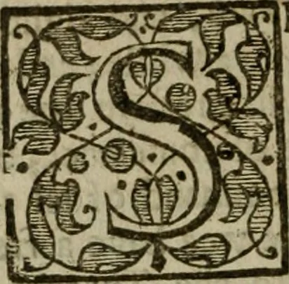 An illustration from Instructions for a right comforting afflicted consciences: with special antidotes against some grievous temptations. Delivered for the most part in the lecture at Kettering in Northamptonshire, 1635, leaf 533