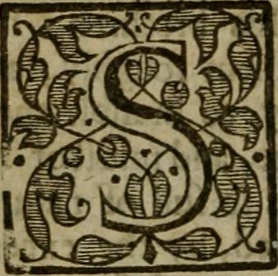 An illustration from Instructions for a right comforting afflicted consciences: with special antidotes against some grievous temptations. Delivered for the most part in the lecture at Kettering in Northamptonshire, 1635, leaf 571