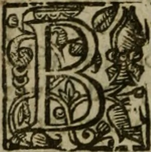 An illustration from Instructions for a right comforting afflicted consciences: with special antidotes against some grievous temptations. Delivered for the most part in the lecture at Kettering in Northamptonshire, 1635, leaf 589