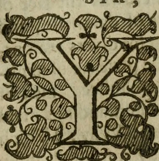 An illustration from Instructions for a right comforting afflicted consciences: with special antidotes against some grievous temptations. Delivered for the most part in the lecture at Kettering in Northamptonshire, 1635, leaf 6