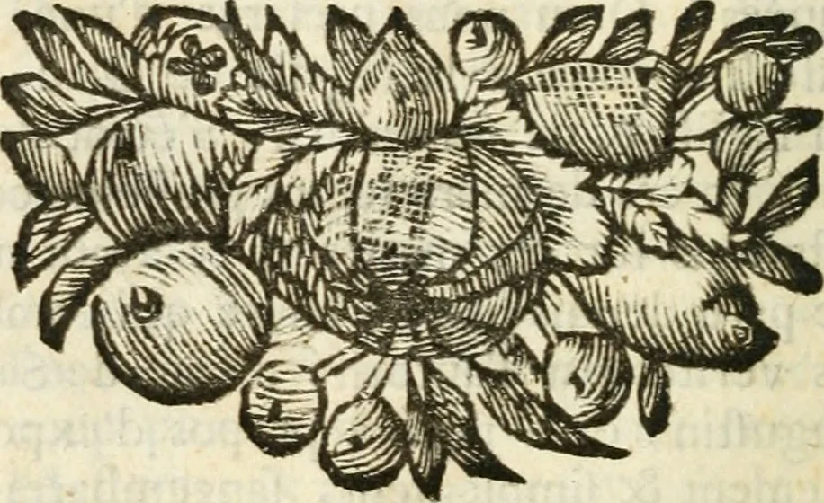 An illustration from Instructions sur la grace selon l'Ecriture et les peres:, 1700, leaf 93