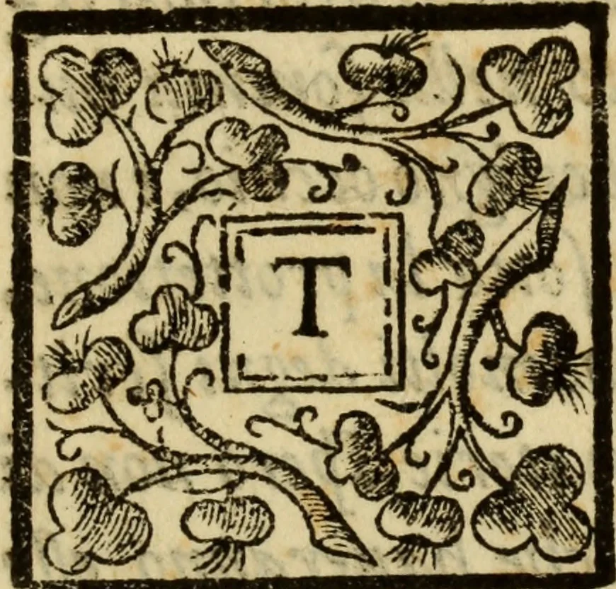 An illustration from Instruttione sopra la peste, 1576, leaf 6