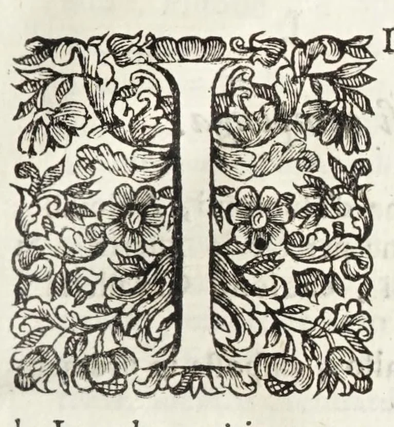 An illustration from Instruttioni militari appropriate all' uso moderno di guerreggiare. Opera nuova, utile e necessaria à professori dell' onorata disciplina della militia. Divisa in tre libri, 1692, leaf 211
