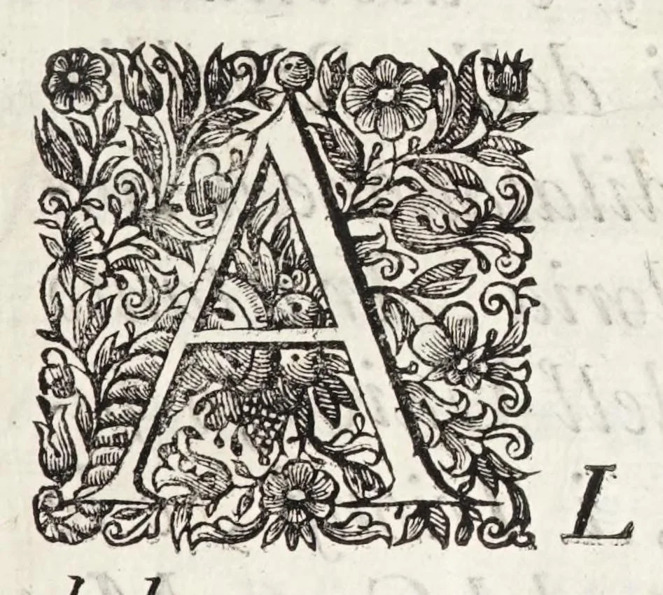 An illustration from Instruttioni militari appropriate all' uso moderno di guerreggiare. Opera nuova, utile e necessaria à professori dell' onorata disciplina della militia. Divisa in tre libri, 1692, leaf 9